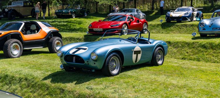 Heveningham Concours
