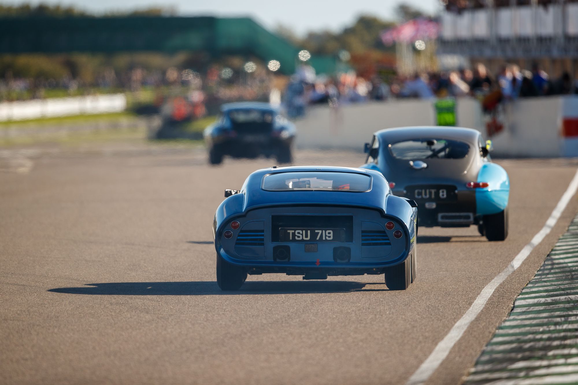 Goodwood Revival 2025 | Galleries | FISKENS